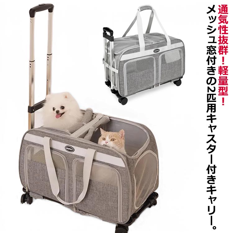 nin5786-01.jpg