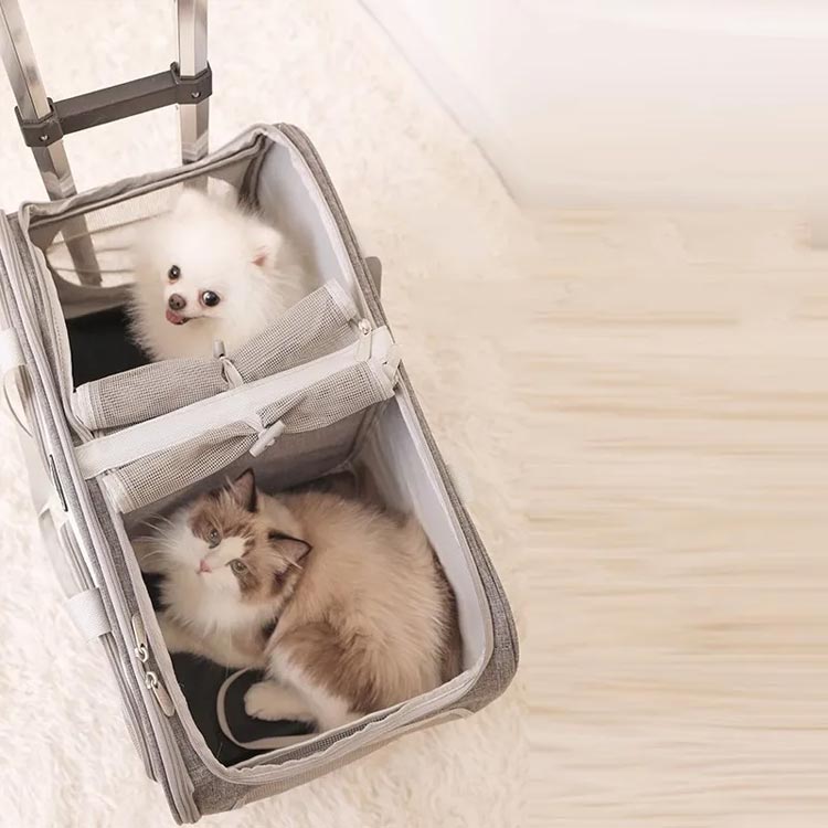 Qoo10] 猫 キャリーバッグ 2匹用 キャリー 折