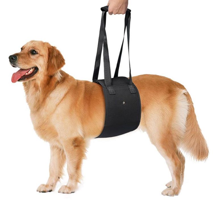 Qoo10] 老犬 歩行補助ハーネス 介護 ケア用品